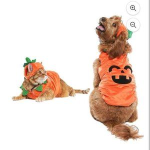 Vibrant Life Halloween Dog Costume and Cat Costume Jack-O-Lantern XS-S